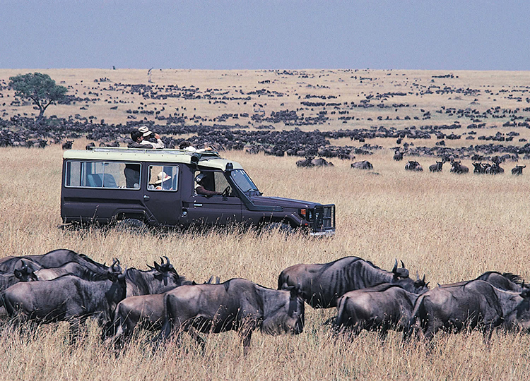 4-days-great-masai-mara-migration-safari-banner